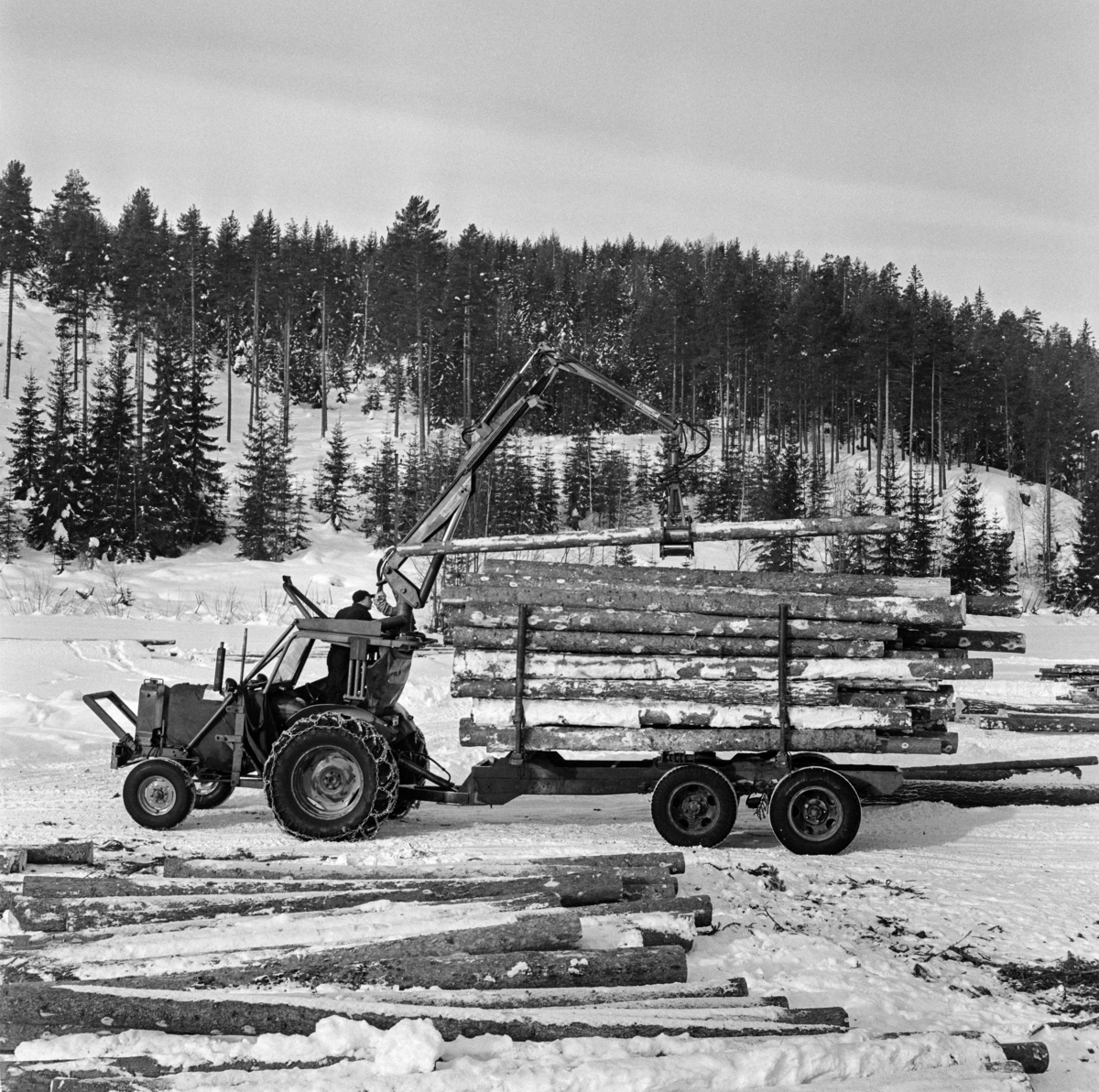 Tømmerkjøring med traktor, muligens på Jømna i Elverum kommune i Hedmark vinteren 1969.  Fotografiet viser en mann som står på knærne i traktorsetet - bakovervendt - og betjener ei kran med gripeklo, som løfter tømmerstokker opp på en tilhenger med to akslinger, antakelig en ombydgd lastebiltilghenger. 

Traktorer med tømmertilhenger og griplasterkran ble lansert som en nyhet i slutten av 1960-åra.  Da hadde den svenske produsenten HIAB lansert sin «skogselefant».  De norske skogteknologene var skeptiske til denne maskintypen.  Med den norske eiendomsstrukturen og i norsk terreng var det de rammestyrte helstammelunnerne som var framtidsrettet, hevdet de.  Mjøsen, Glommen og Nedre Glommen skogeierforeninger satte likevel i gang forsøk med det de kalte «kombinasjonsmaskiner» - traktorer med griplastere og boggidoninger.  I slutten av 1960-åra kunne norske maskinleverandører tilby flere varianter av slike maskiner.  Den svenaske «skogselefanten» med HIAB-kran på en rammestyrt traktor var den mest avanserte, men det ble også levert svenske og finske kranmodeller som kunne monteres på kraftige landbrukstraktorer.  Også den norske maskinfabrikken Hymas i Brumunddal bygde ei gripeklo som kunne monteres i steden for skuffa på bedriftens traktorgravere, som allerede var mye brukt i det norske skogbruket.  Dermed kunne man få helårsdrift på en traktor som inntil da i hovedsak hadde vært brukt sommerstid.  Som tømmerlastingsmaskin var Nuffieldene med kraner fra Hymas mest anvendelige på velteplasser, men de kunne også trekke tilhengere med tømmer som var pålesset ved hjelp av traktorkrana.  Det er usikkert om det vi ser på fotografiet er et Hymas-produkt, eller om det er en svensk modell.  

Etter hvert måtte de rammestyrte stammelunnerne vike plassen for «kombinasjonsmaskiner» med kran og tilhenger for tømmerlass.  Skogteknologene gav dem etter hvert betegnelsen «lastetraktorer», mens maskinforhandlerne brukte betegnelsen «lassbærere», for å tydeliggjøre at det tømmeret man fikk fram ikke ville være sølete og tilgriset, slik stammelunnet virke kunne være, i hvert fall i sommerhalvåret.