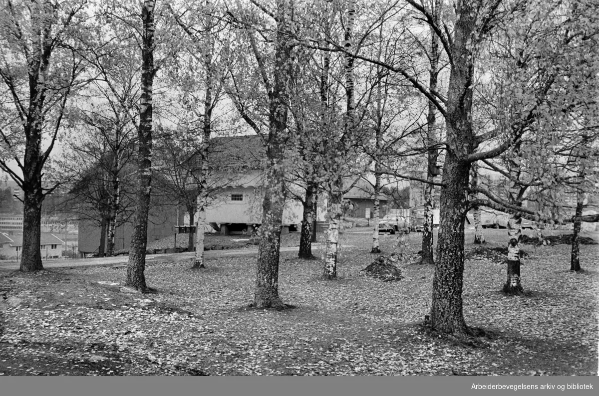 Bøler gård. Oktober 1976