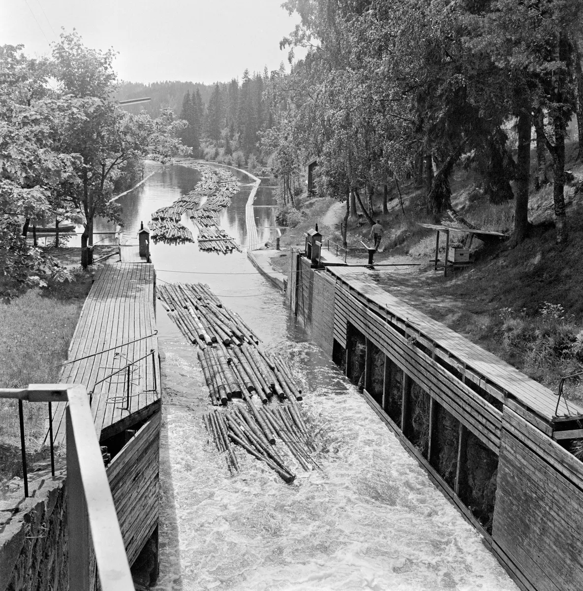 Ei slusevending med massevirke, fotografert idet tømmeret var i ferd med å flyte ut av det nederst kammeret i Ørje sluser i Marker kommune i Østfold.  Dette fotografiet ble tatt i 1982, som var den siste sesongen med tømmerfløting i Haldenvassdraget.  De siste tre åra ble det utelukkende fløtet ubarket massevirke i tre meters lengder.  Tømmeret ble utislått i bunter - «moser» - fra lastebiler ved Skulerud i Høland.  Derfra ble det først fløtet i store slep til Ørje ved sørenden av Rødenessjøen.  Der måtte slepene deles opp i lenker som var tilpasset lengden på de tre slusekamrene.  Ved Ørje skulle tømmeret sluses 10 høydemeter ned, fra Rødenessjøen ovenfor til Ørjeelva nedenfor.  Med det nevnte virkessortimentet gikk det fire lastebilbunter («moser») i hver slusevending.  I kanalen nedenfor sluseanlegget ble slusevendingene bundet sammen igjen i lengre lenker, som i i Lifjorden i nordenden av Øymarksjøen ble bundet sammen i større slep for buksering videre nedover i vassdraget. 

En liten historikk om tømmerfløting og kanaliseringsarbeid i Haldenvassdraget finnes under fanen «Opplysninger».