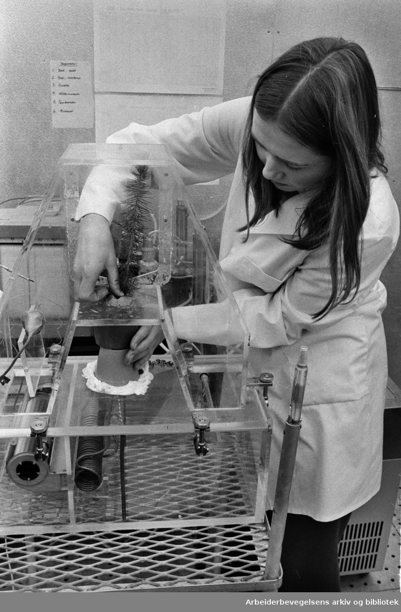 Blindern. Biologibygget. Botaniker Marit Kamstrup.November 1973