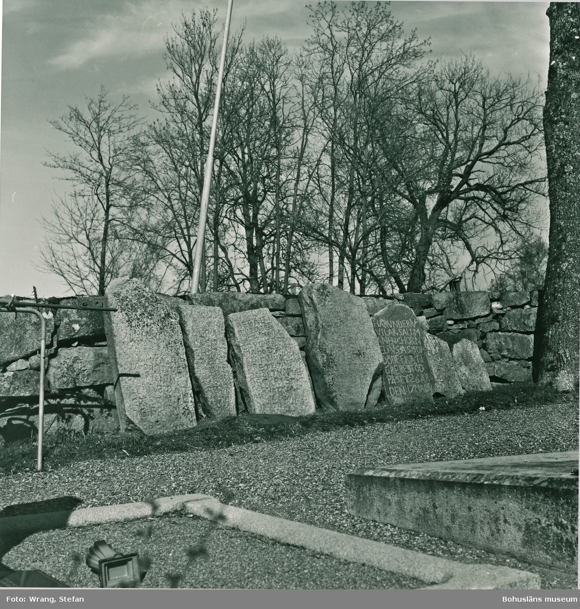 Text till bilden: "Tanums kyrka. Norra kyrkogårdsmuren. Gravstenar från 1700-talet".