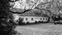Årvoll gård. 1981