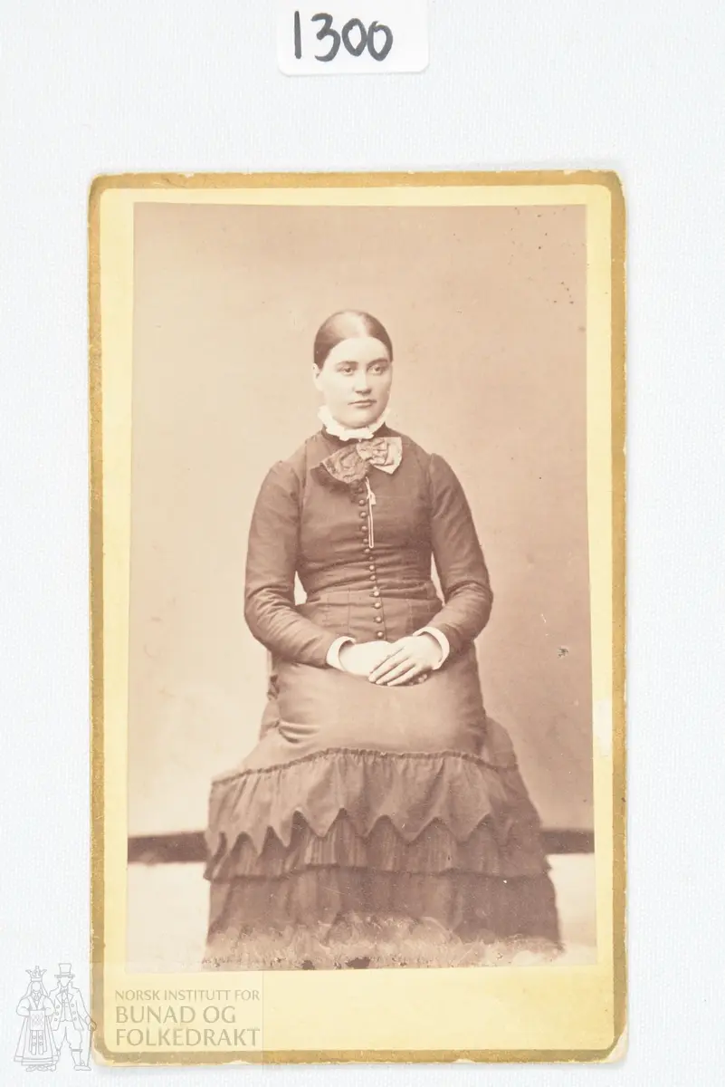 Bilde, svart-hvitt fotografi. Portrett av sittende, kjolekledd kvinne, f. 1864.