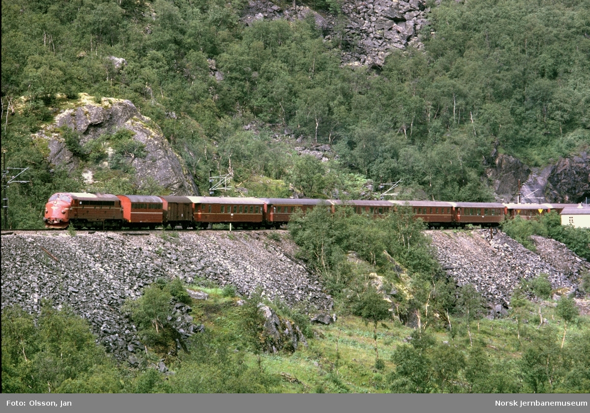 Dagtoget fra Trondheim til Oslo Ø i Drivdalen nær Kongsvoll. Toget trekkes av diesellokomotiv type Di 3 nr. 602.