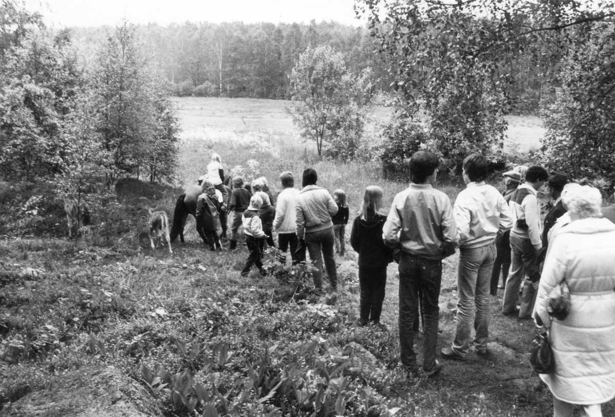 Fest vid Hembygdsgården i Horda, Värnamo kommun, den 14 juni 1981.