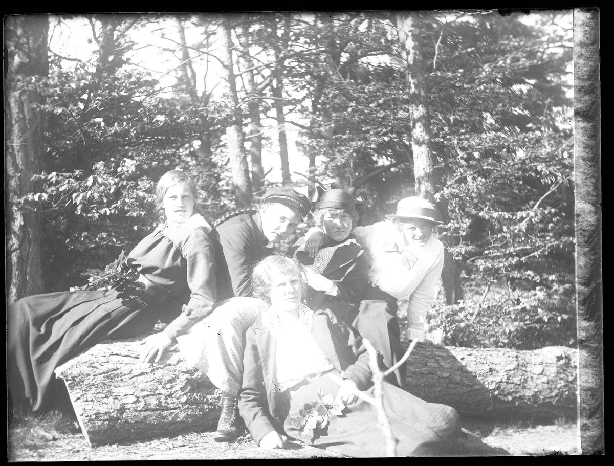 Fem flickor poserat på ett fallet träd i skogen. I fotografens egna katalog står antecknat "6:e klassens flickor".