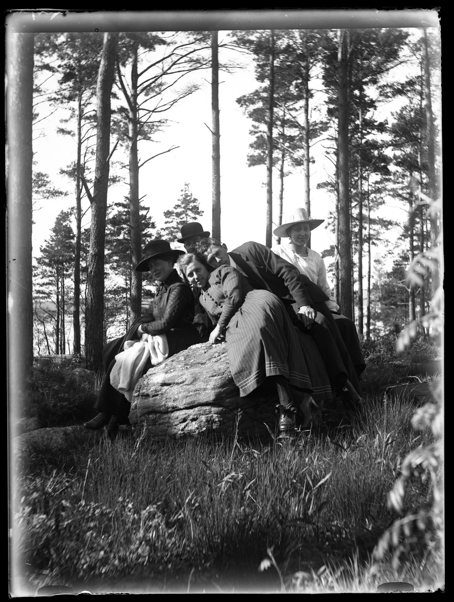 Herr och fru Larsson med Elma, Anna, Lisa och Hugo sitter på en sten i skogen.
