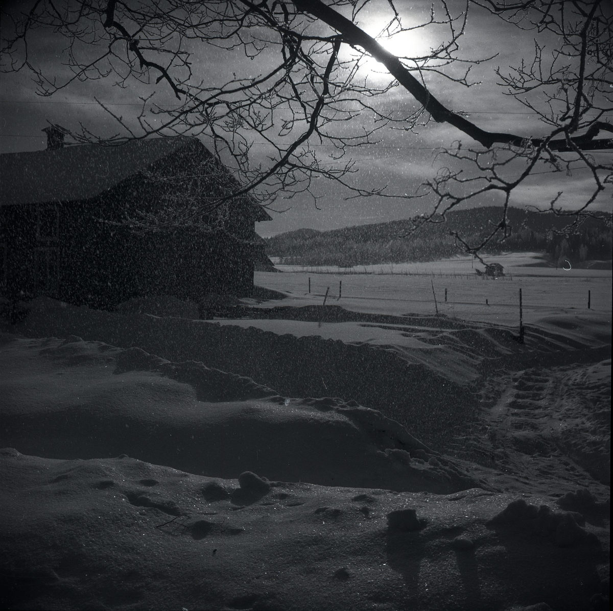 Fallande rimfrost vid slakteriet i Sunnanåker, vintern 1948.