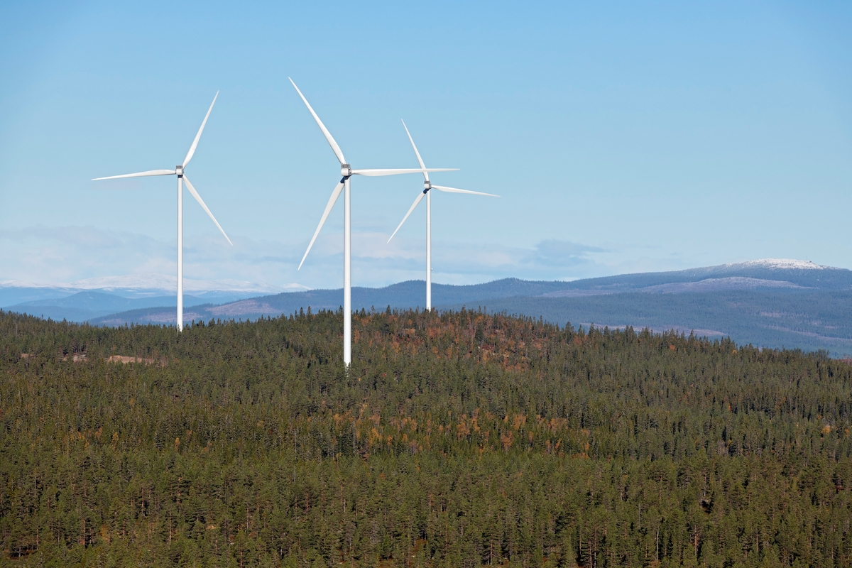 Fra «Austri Raskiftet» – en energiproduserende vindmøllepark på høydedragene vest for Osensjøen i Hedmark – fotografert fra Ulvsjøberget mot Raskiftet i september 2018.  Bildet viser tre av vindmøllene, slik de rager over det skogkledde landskapet.  Det er Stadtwerke München (60 %), Eidsiva Energi (20 %) og Gudbrandsdal Energi (20 %) som investerer i dette utbyggingsprosjektet, men det praktiske utbyggingsarbeidet administreres av det svenske vindkraftselskapet OX2.  Prosjektet berører et areal cirka 27 kvadratmeter i skoglandskapet i grensetraktene mellom Åmot og Trysil kommuner, og vindmøllene plasseres høyt i terrenget, på Raskiftet, Ulvsjøberget og Halvorsberget, omkring 800 meter over havet.  Anleggsarbeidet startet i august 2016, og vindmøllene skal levere energi fra vinteren 2018-2019.  Dersom kalkylene stemmer, vil produksjonen bli cirka 340 GWh per år.  Investeringsbudsjettet er på 1 400 millioner kroner, hvorav cirka to tredeler er avsatt til bygging av 37 vindturbiner med navhøyde på 112 meter og rotordiameter 112 meter. Rotorene vil altså nå opptil 175 meter over bakkenivå.  I forbindelse med prosjektet bygges om lag 30 kilometer med anleggsveger i området.  Dette er det største byggeprosjektet og det visuelt mest iøynefallende byggesaken som noen gang har vært realisert i Trysil kommune.  Inngrepene i skoglandskapet har vakt debatt.  Ordførerne i de to vertskommunene har poengtert at vindmøllene skal produsere fornybar energi, at den vil gi lokale arbeidsplasser og inntekter til kommunekassene.  De kontraktfestete kraftinntektene blir på mellom 10 og 11 millioner, og fordeles med en tredel på Åmot og to tredeler på Trysil.  Konsesjon for dette vindkraftverket ble innvilget sommeren 2015, i første omgang for 25 år. Raskiftet Vindkraftverk. Vindpark.