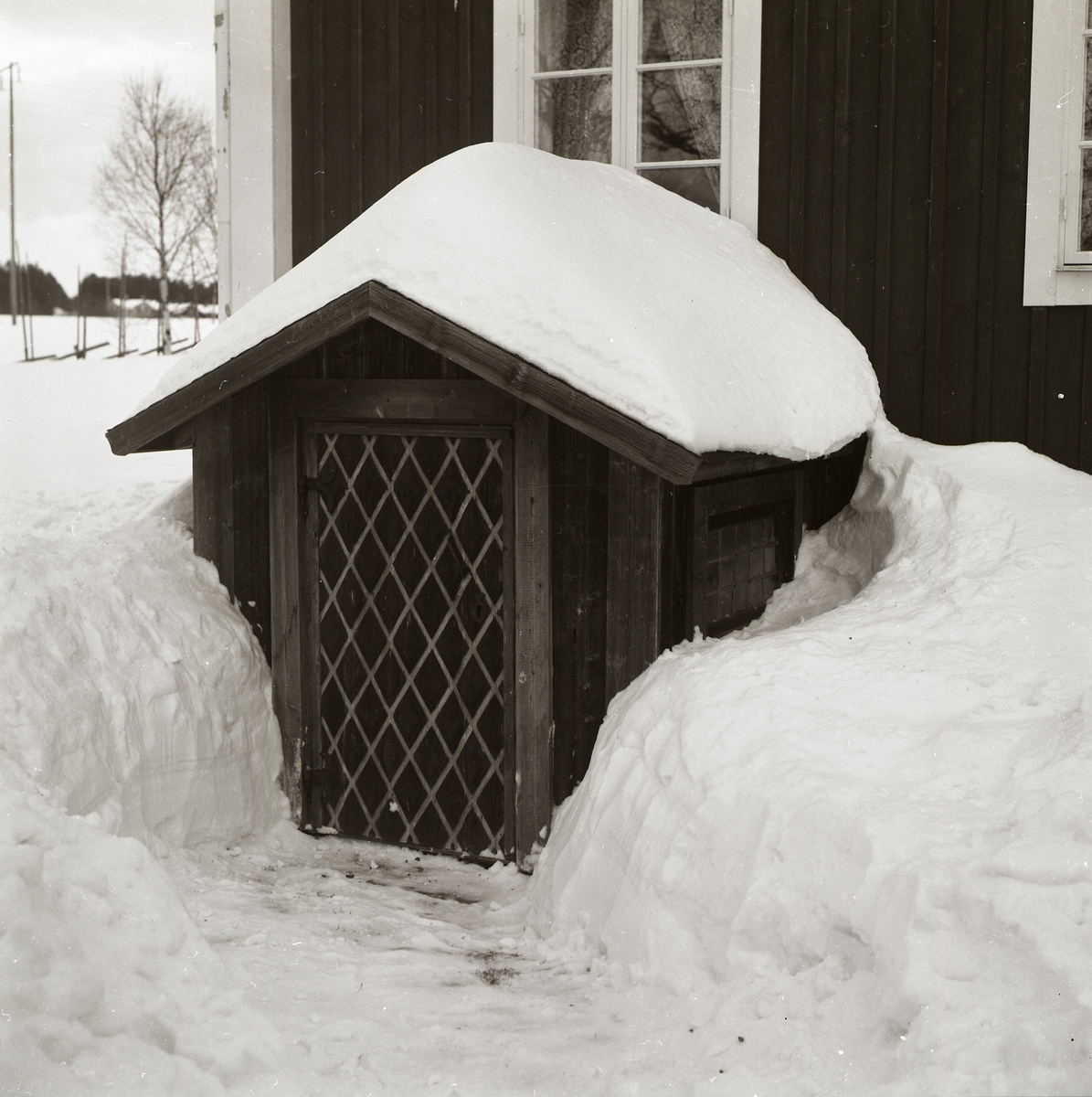 Källarkur med sadeltak på gården Sunnanåker, december 1981. Snö på taket och snödrivor.