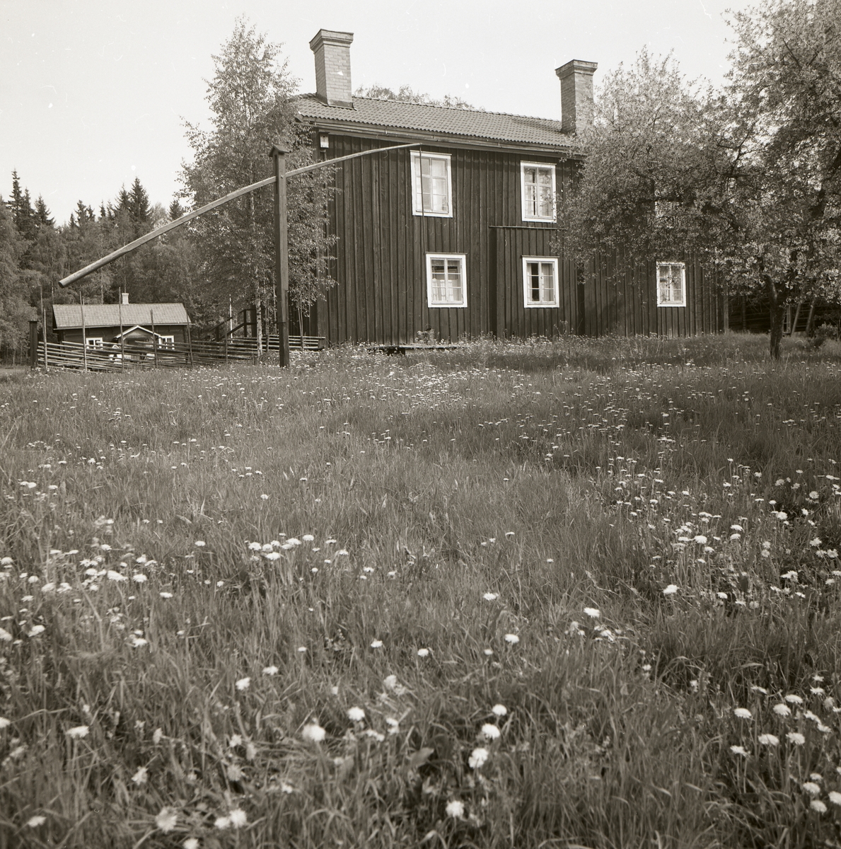 En byggnad med två stora skorstenar, omgärdad av träd, står vid hembygdsgården i Rengsjö, 7 juni 1983.