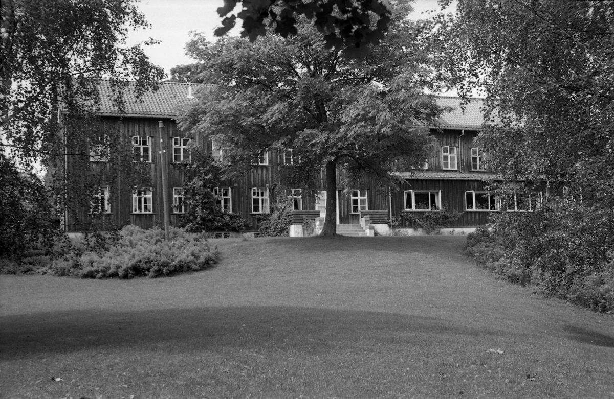 Trogstad nedre i Totenvika juni 1954. Da bildet ble tatt, Trogstad Skole, idag (2018) en del av Solliakollektivet. Seks bilder av hovedbygningen, fotografert fra forskjellige vinkler.