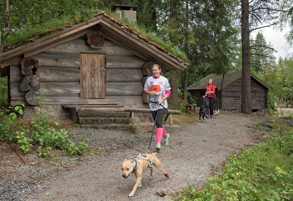 Deltagere i DogRun i regi av VOM hundemat på Prestøya under De nordiske jakt- og fiskedager 2018 på Norsk skogmuseum.