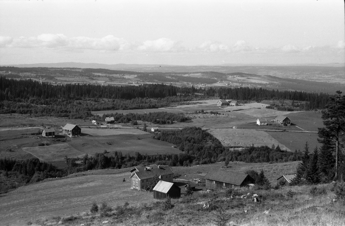 Tre bilder av skysstasjonen Grøna ved Totenåsen, og området rundt. På alle tre bilder er Grøna i forgrunnen. På bilde to og tre ses bruket Sørås til venstre i bildene, Nordås og Solås (lengst bak) til høyre. Bildene er fra august/september 1954.