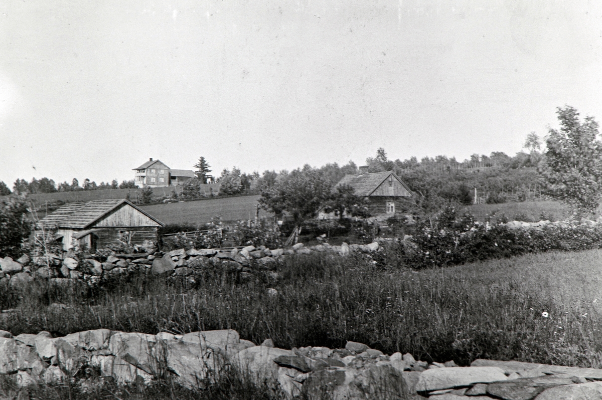 Nygaard, Vesterhagen, steingjerde, Helgøya