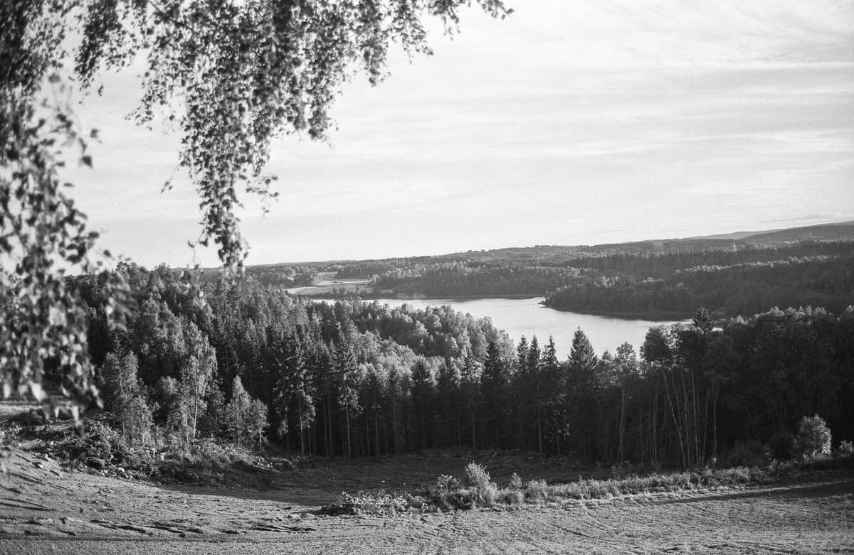 Naturbilder fra Kongeveien og Årungen i Nordby i Ås.