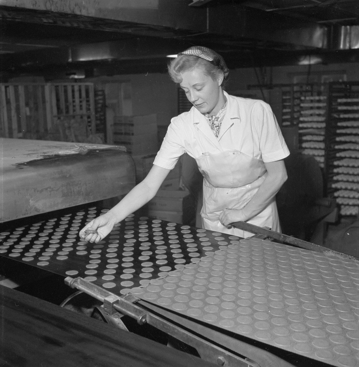 En kvinna står vid ett band med pepparkakor. Pricks, fabriken, Tierp, Tolfta socken, Uppland 1953