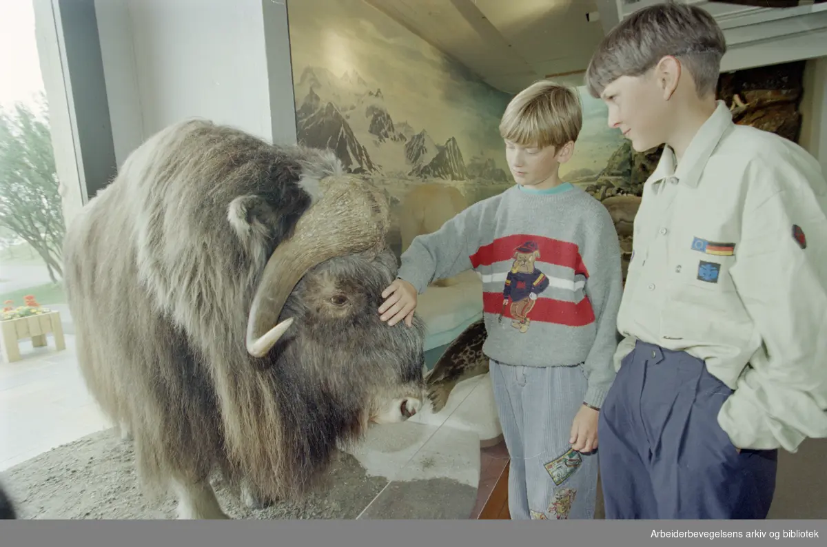 Bygdøy Folkemuseum. Fram-museet. Sebastian og Dominikue fra Tyskland beundrer moskusen. 20. juli 1995