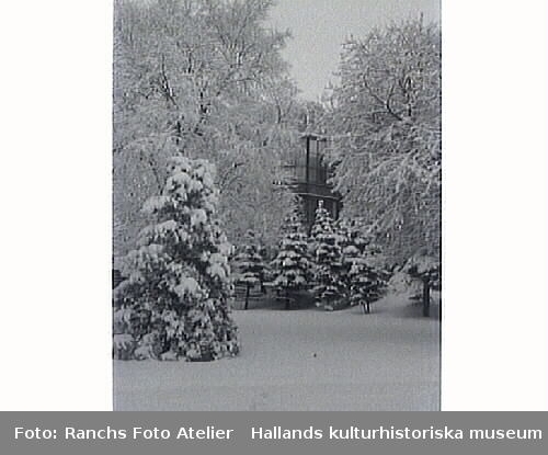 Trädgården till Gerlachska villan i snöskrud. I fonden skymtar palmhuset mellan stora lövträd och nedtill skymmer en klunga med granar.
