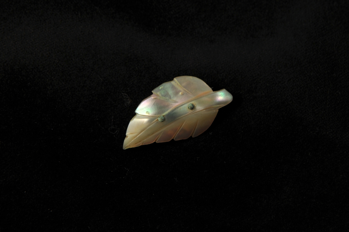 En oval brosch av pärlemor, i form av ett snidat blad. Metallspänne baktill.