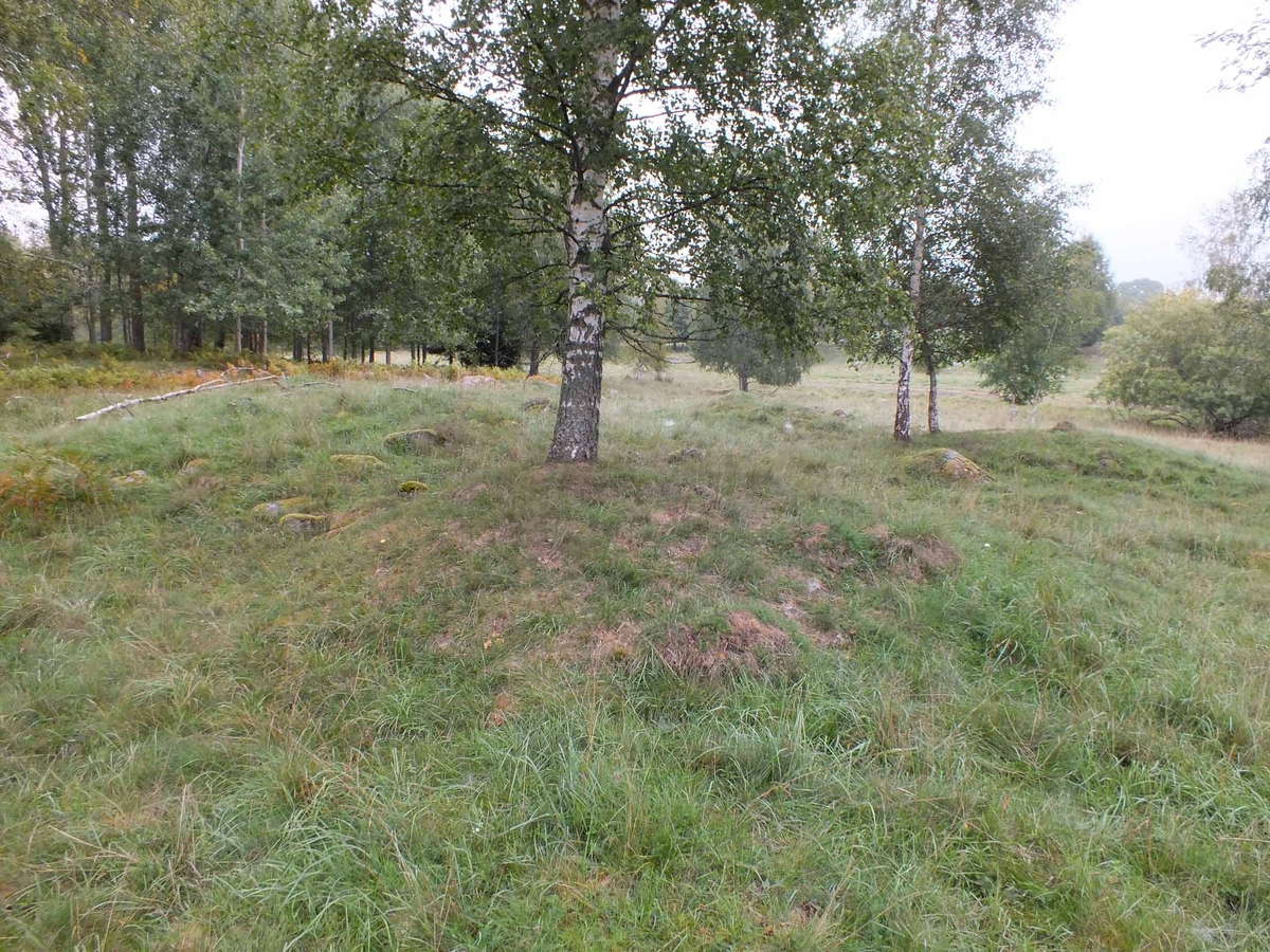 Arkeologisk schaktningsövervakning, gravhögar i  södra delen av 1:101, Hydinge, Ununge socken, Uppland 2018