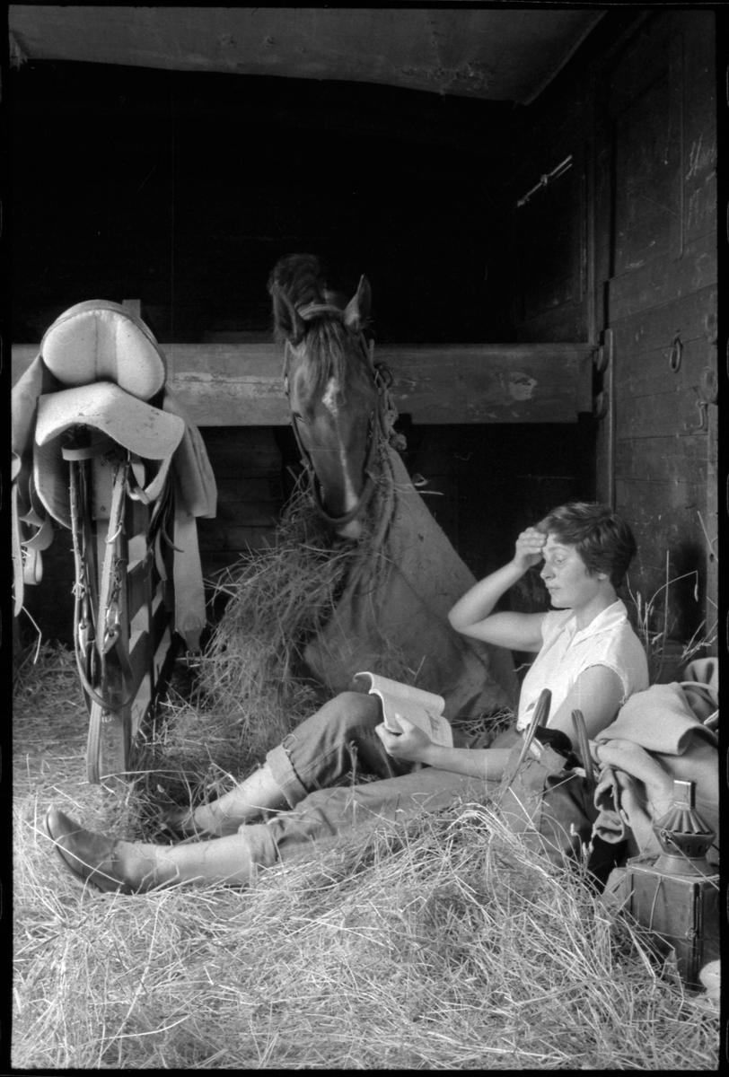 Djurtransport. Värdefulla hästar transporterades ofta i specialinredda vagnar tillsammans med deras vårdare.