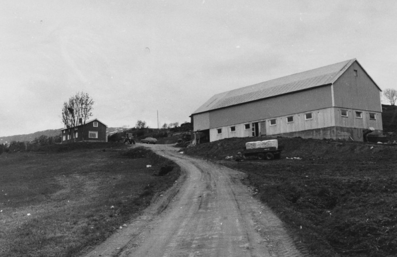 Leirfjord, Leland, Åsen. Bygningene på gården.
Pressebilde fra Helgeland arbeiderblad.