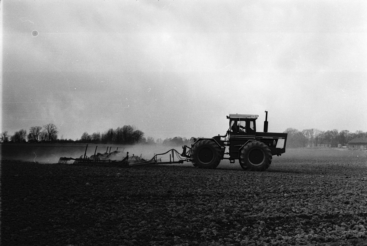 Vårbruk, traktorförare Stig Ahlin harvar, Hacksta gård, Enköpings-Näs socken, Uppland april 1981