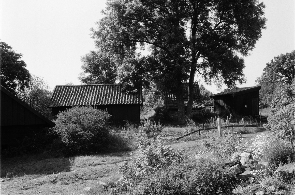 Ekonomibyggnad och trädgård till gruvarbetarbostad, Söderskogen, Film, Uppland juli 1991