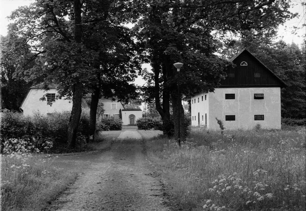 Gruvmiljö, Dannemora, Uppland augusti 1991