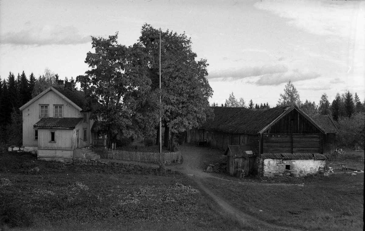 To bilder fra gården Gimle på Krabyskogen, Østre Toten, høsten 1955.