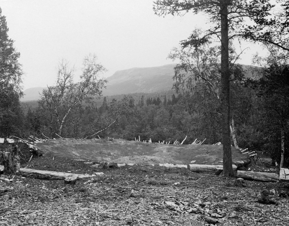 Stor tjæremile i Dividalen i Målselv i Troms, fotografert sommeren 1913. Mila var plassert i ei bakkehelling i et landskap med furu- og bjørkeskog. Dette fotografiet er tatt fra oversida, og på et tidspunkt da mila var utbrent. Følgelig ser vi ned på miletomta, som framsto som framsto som en skålformet forsenkning med en liten, rund haug i sentrum, og med ei steinfri jordoverflate. Langs ytterkantene stikker det ut ender av bjørkerajer, som var en del av underlaget for den «fremre» delen av milebotnen.

Ei tjæremile måtte ha skålformet botn, med helling inn mot sentrum. En stor del av botnen ble gjerne gravd ned i bakken, mens den ytre delen ble lagd av tre, med støttestenger som bar milebotnen. Mange av støttestengene var lagd av trestammer med kløftet topp, som støttet opp lunner som lå konsentrisk, og som bar et tett lag av radiært orienterte rajer. I denne mila fra Dividalen var disse treelementene i hovedsak lagd av bjørk. Oppå dem igjen ble det plassert et lag av lyngtorv med lyngsida ned. Oversida av torvdekket ble deretter jamnet med jord fra miletomta. Før brøstet ble reist hadde tjærebrennerne gravd ei grøft fra sentrum av miletomta for røret som skulle føre tjæren ut av mila. På den tida dette fotografiet ble tatt var det vanlig å lage slike rør av en tømmerstokk som hadde om lag samme diameter som renna. Dette elementet ble plassert i den nevnte grøfta, med et inntakshull under det laveste punktet i milebotnen. Før tjæreveden kunne legges inn måtte hele milebotnen dekkes med neverflak, som ble «taklagt» (slik at ovenforliggende flak alltid overlappet de nedenforliggende, som takstein). Ved milas sentrum skulle det være flere lag med never, og den måtte tilpasses omhyggelig, slik at all den dyrebare tjæra sivet ned i inntakshullet, ikke ned i underliggende jordlag.  Inntakshullet ble gjerne dekket med litt kvist, som skulle forebygge at avløpet tettet seg. Så kunne den tyririke mileveden plassert. Først la tjærebrennerne et lag med langved, med lengderetningen som stråler ut fra milas sentrum. På dette underlaget bygde de mila videre ved å legge ringer av kortere vedkabber fra sentrum og utover. Kabbene skulle alltid ligge med de groveste endene utovervendt. Veden skulle ligge så kompakt som mulig, så den ble banket med ei diger treklubbe. Når all veden var på plass fortonte den seg som en rund kuppel. Den ble først dekket med bar, og oppå baret la tjærebrennerne torv med grassida ned.  Ei rand rundt milefoten ble holdt åpen, for der skulle mila antennes. Først når varmen hadde bredd seg innover i milevedlaget, ble også denne sona tildekket. Varmen bredde seg innover mot sentrum. Den fikk veden til å «svette» tjærestoffer, som ble drevet framfor forkolingssonen mot inntakshullet. Tjæra rant derfra videre gjennom den nevnte renna, og kunne samles opp i tønner under milebrøstet. Det beste produktet var den tjæren som kom i prosessens midtfase. Den var lysebrun, rein og smidig, mens det som kom mot slutten var mørkere og hadde en mer kornet konsistens. Vi har ingen informasjon om den spesielle mila på dette fotografiet, men det er grunn til å anta at det i hvert fall tok tre døgn å brenne ei mile på denne størrelsen.

I 1890-åra skrev amtmannen i Tromsø amt blant annet følgende om tjæreproduksjonen i sitt embetsdistrikt: «Foruden Indtægten af Tømmer skaffer Salget af Brænde og Tjærebrædningen ikke saa ganske liden Indtægt.  Hovedmængden af Brænde falder paa Maalselven, Bardo og Kvænangen, paa hvilket sidste Sted Brændet fremdrives for offentlig Regning og sælges ved Søen, medens det i Maalselven og Bardo afgives mod Tiende.» I en annen rapport, som ble skrevet noen få år seinere, forteller amtmannen at råstoffet til tjæreproduksjonen stort sett kom fra statens skoger, og at tjærebrennerne betalte ei avgift på ei krone per tønne ferdigprodusert tjære.  De nevnte dokumentene antyder at produksjonen av tjære i Troms i 1890-åra kunne variere fra om lag 500 til drøyt 1 000 tønner i året.