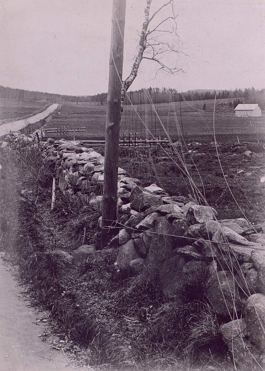 Linjerasert i västsverige den 15 maj 1915. Linjen Borås - Ulricehamn.