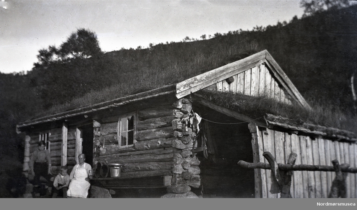 Heimistu-Harangsetra i Surnadal, 1934. Rannei N. Harang som seterdeie og Oddmund O. Sæter som gjetar.