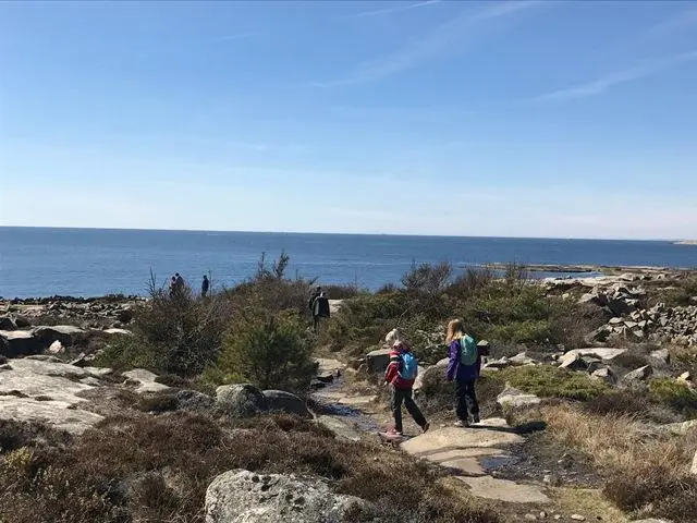 Rødshue