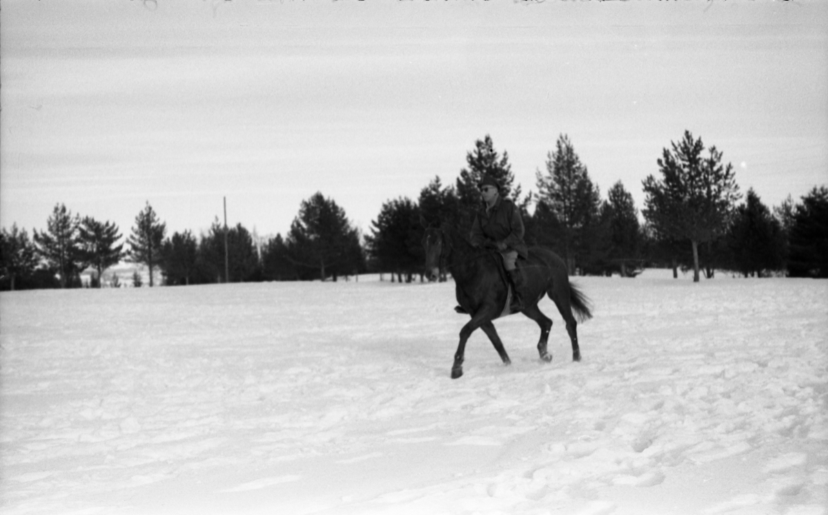 Fire bilder av Bjart Ording til hest på Starum ca. årsskiftet 1957/1958. De to første bildene er tatt foran "Messa", de to neste ute i terrenget. Bilen på de to første bildene er iflg. informant en Ford Anglia av årsmodell 1954-58.