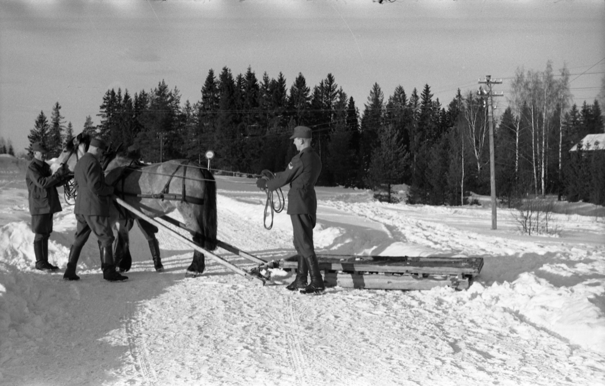 Seks bilder fra Hærens Hesteskole på Starum ca. årsskiftet 1957/1958. Noen av leirens befal viser hest og en slags slede. Personene er ikke identifisert.