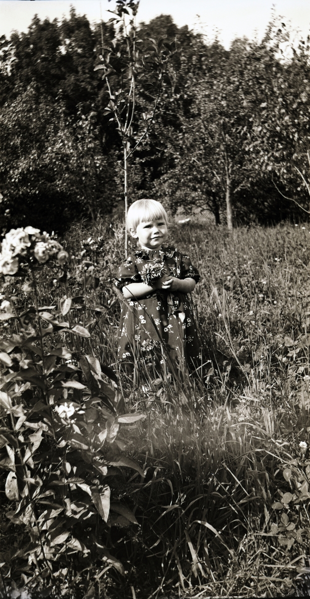 Lilla Karin Larsson står i trädgårdens höga gräs med några blommor i hand, kanske dahlior. Även klänningen är blommig och har ett halskrås. I förgrunden syns blommande flox och bakom henne står ett nyplanterat träd