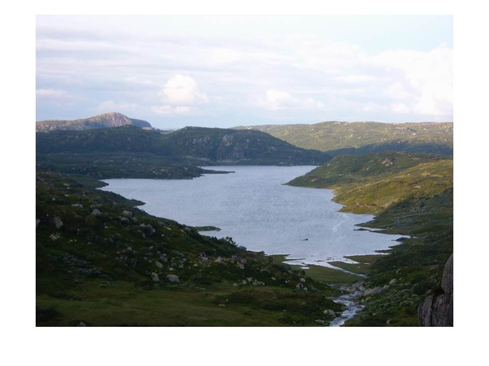Lykkjevatnet i Langeidsheia med Fagervassnuten bak til venstre. Asbjørn Haga har gjerde rett over tangen til venstre for samling av sauer på hausten.
