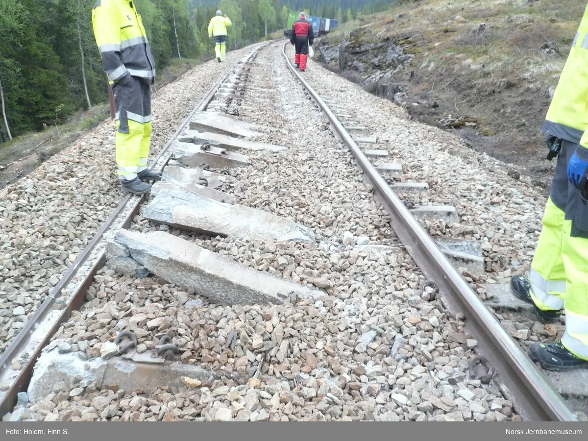 Den 30. mai 2014, ca. kl.1615, sporet CargoNet AS' sørgående godstog 5790 av ved innkjørhovedsignal A for Trofors stasjon på Nordlandsbanen. Toget hadde i alt nitten vogner, og fire av vognene sporet av. Mange sviller ble ødelagt i avsporingen.