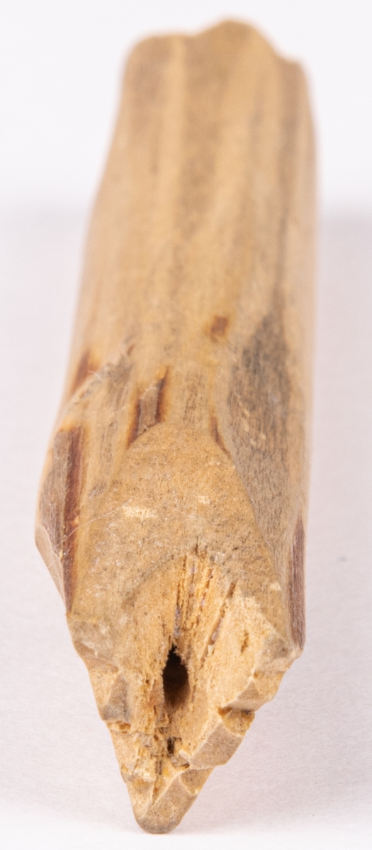 Smörstämpel i trä. Rak, cylindrisk pinne med skuret "V" i ena änden och skurna strålar i den andra änden.