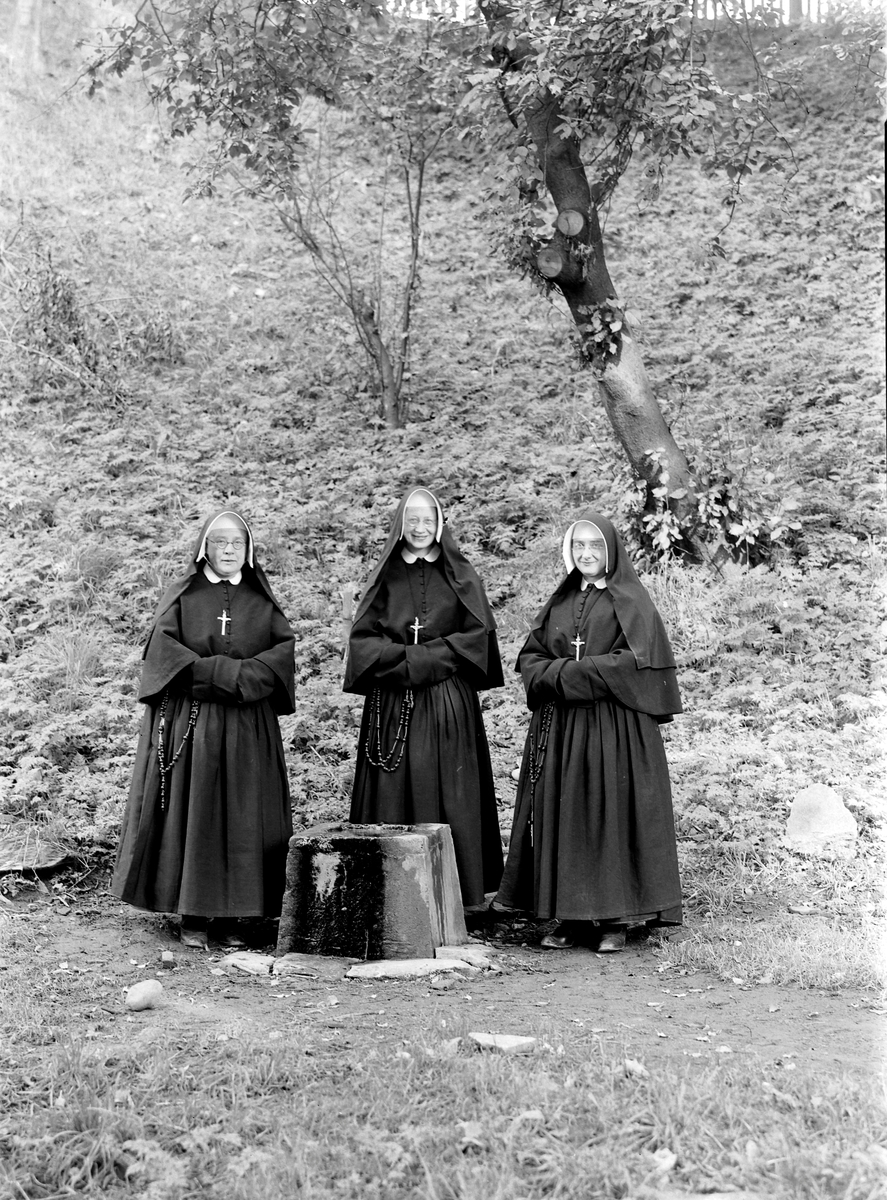 Nonner ved Olavskilden på Marinen