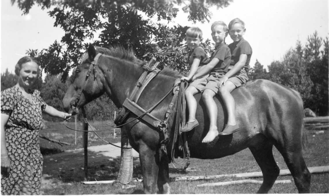 Tre små pojkar i olika ålder och storlek sitter på en arbetshäst selad med bogträ i Ravelsmark. En kvinna i blommig klänning står till vänster och håller i grimman. Alla ler och skrattar mot fotografen. Pojkarna heter Åke, Ingemar och Per-Gunnar Pettersson. Det är deras mamma Nanna som håller i hästen.