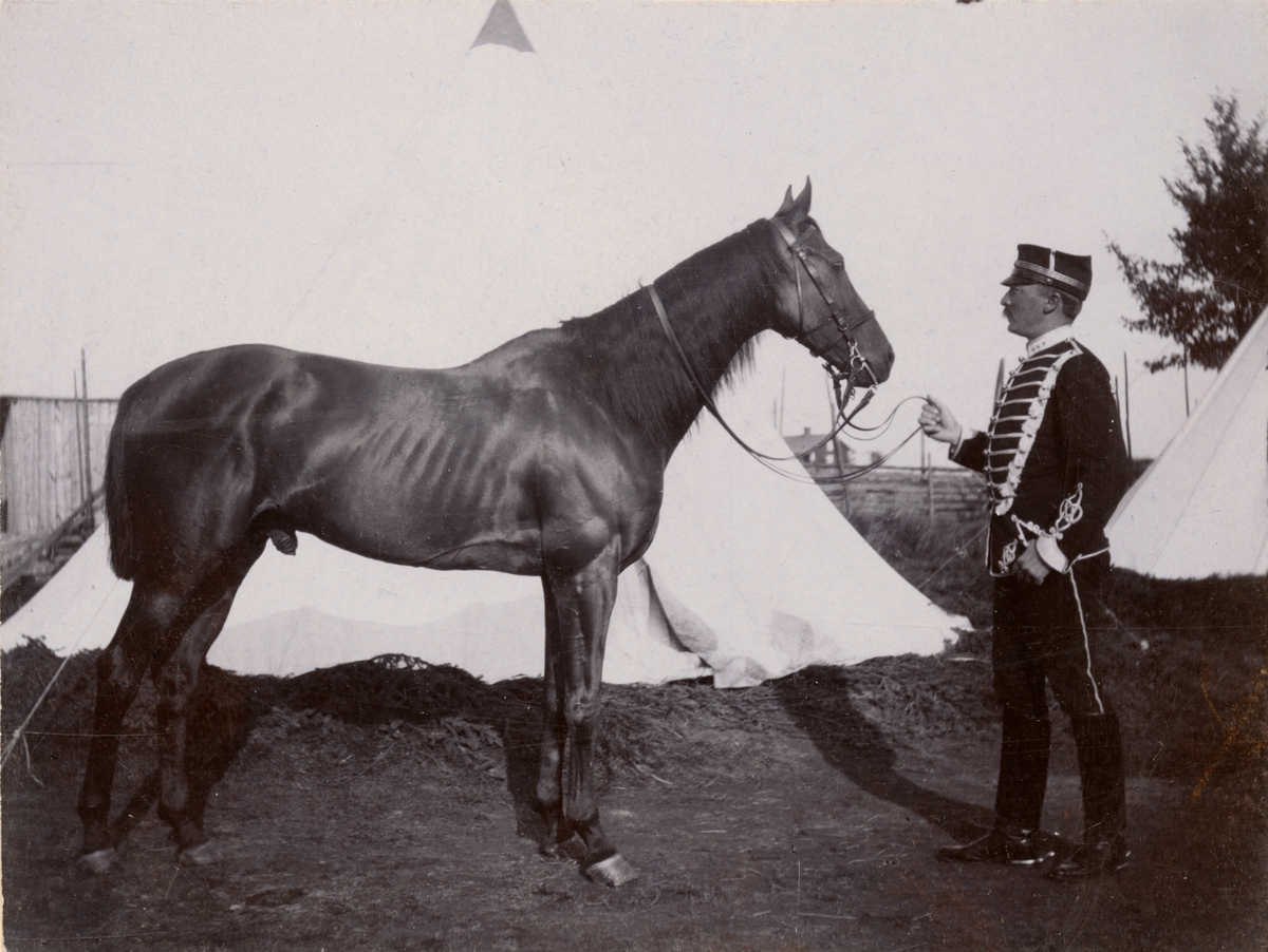 Soldat och häst från Livregementets husarkår.