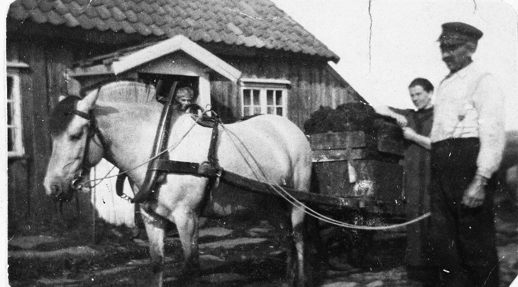 Torvkjøring med hest og kjerre i gardsromet på Lende bnr. 3. Til høgre Jonas Lende (1879 - ) og søster hans Ane Berte Lende (1876 - )