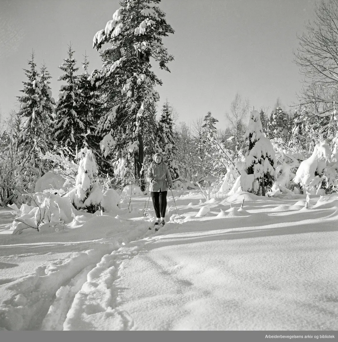 Vinter i Nordmarka. Skitur. 04.03.1954.