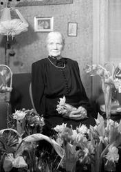 Emilie Hartvigsens 85-årsdag