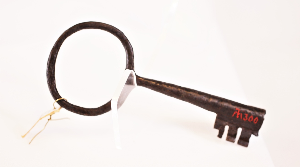 Nøkkelen har pipe som smalner sterkt mot ringen som er nesten rund. Kort, bred aks med fire reifer.