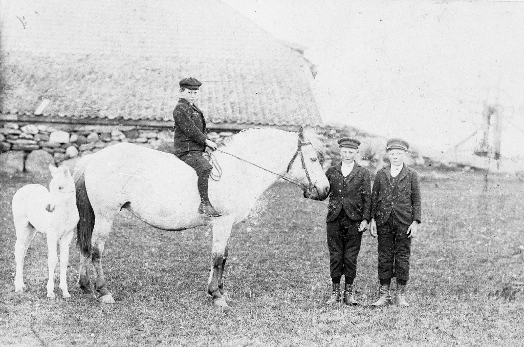 Føl, hest og tre gutar framfor løa på Løge austre. Til høgre skimtar me så vidt ein vindmaskin. På hesteryggen Stein Ødegård (1895 - ). Ståande Arne Ødegård (1893 - ) og Sven Ødegård (1891 - )