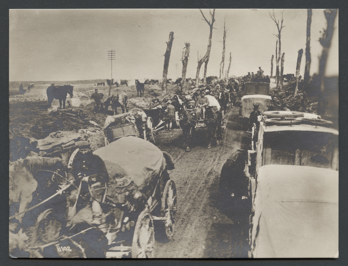 Bilden visar en kolonn lastbilar och hästfordon på en landsväg i en förstört landskap. Alla alléträd är sönderskjuten.

Originaltext: "Tysk trängkolonntrafik i Somme-avsnittet."